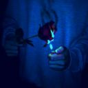 wheresmymindsblog avatar