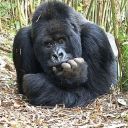 wheresthenudebeach avatar