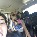 wherethearfthingsare avatar