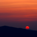 wherethesunsh1nes avatar