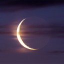 wherethesunshines avatar