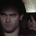 wherethewildwolvesrun avatar