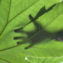 wherever-you-are-is-your-derech avatar