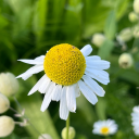 whichwaytofindmyself avatar