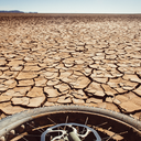 whileoutriding avatar