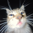 whileyourenothere avatar