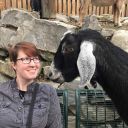 whimsical-gibbon avatar