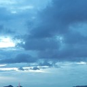 whimsical-idiot avatar