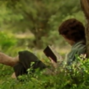 whimsical-tail-flukes avatar