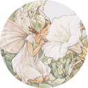 whimsymeadow avatar