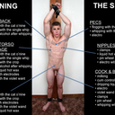 whippingthemaleslave avatar