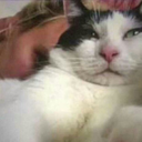 whiskers-r-we avatar