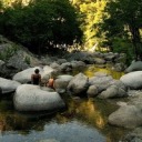 whiskersandpages avatar