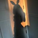 whiskey-with-ice avatar