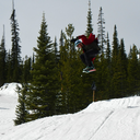 whiskeyinmyveins avatar