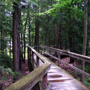 whisper-in-rage avatar