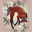 whisper-of-wolves avatar