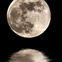 whisperedverse avatar