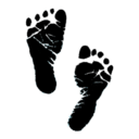 whisperingblue avatar