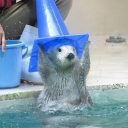 whisperintoearth avatar