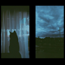 whispers-in-the-vacuum avatar