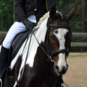 whisperstothewind avatar