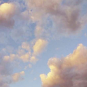 white----noise avatar