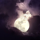 white-and-red-pelette avatar