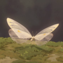 white-btterfly avatar