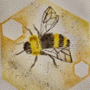 white-carrots avatar