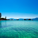 white-lies-and-lavender avatar