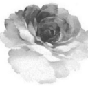 white-lightss avatar