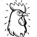 white-rooster avatar