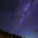 whitecatsblackcats avatar