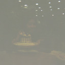 whitedaisiesfield avatar