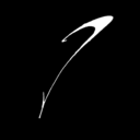 whitefeatherstudio avatar