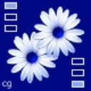 whiteflower122 avatar