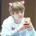 whitefoxedarchives avatar