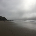 whitefunction avatar