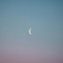 whitemeatfestival avatar