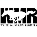 whitemustangregistry avatar