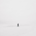 whitenoise808 avatar