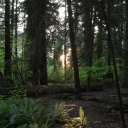 whitenoisenaomi avatar