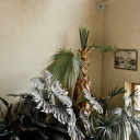 whitepeopleconsumingasianmedia avatar