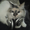 whitepersonaltmusicbracket avatar