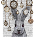 whiterabbit79 avatar