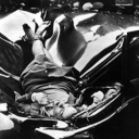 whiteringaway avatar