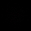 whiterose-darkshadow avatar