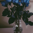 whitesabertoothtiger avatar