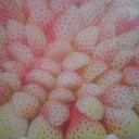 whitestrawberriesbasket-blog avatar